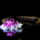 부여목장 이미지