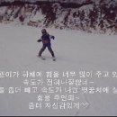 111228 윤관 안산스키 안산어린이스포츠클럽 어린이수영개인렛슨 안산어린이스키 안산스키 안산어린이스키개인렛슨 이미지