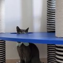 멤피스타워 이미지