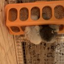 동남부화장 이미지