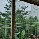 신월동009 | 베란다 샷시 유리창 청소 후기 [서울시 양천구 신월동 보람더하임2차]