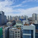 영종라이언부동산공인중개사사무소 이미지