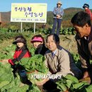 임기만 농장 이미지