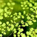 오태초교 이미지