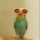 스시서울 이미지