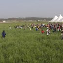 미성동-18 이미지