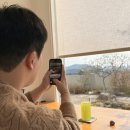 파파스시 - 3836 | 파파스시