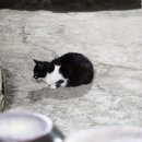 고택한옥에서 이미지