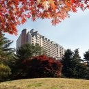 파인리조트 이미지