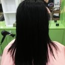 베스타헤어코디