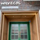 웨이브콜(wavecol) 이미지