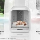 드라이세상 네이버블로그