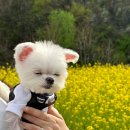 동화1차아파트 놀이터 이미지