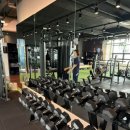 153GYM 이미지