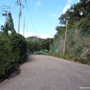 당리고개 이미지