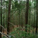 나무요양병원 이미지