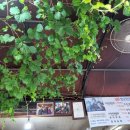 심곡항구 이미지