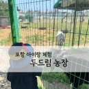 월포농장 | 포항 아이랑 가볼만한곳 두드림농장 동물 먹이주기 체험 가능한 곳