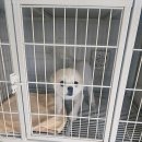 현대그린세탁소 이미지