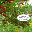 맹글맹글