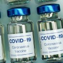 지씨바이오 이미지