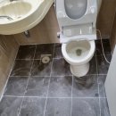 수원-0855 이미지