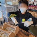 앵무새카페 이미지