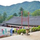 합천명품돼지 네이버블로그