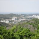 탑 클래스 155차 정기산행 삼척 근산 삼척 장미축제 이미지