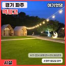 먹핑고