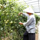 아름다운농장 이미지