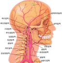 비만(산후비만 포함) 좌훈제 이미지