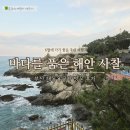 바다를 품은 사찰, 부산 해동용궁사 방문 후기