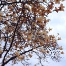 시립미술관(3 1 탑) 이미지