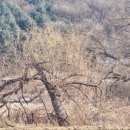 김대흥 카카오 검색결과