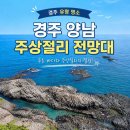 경주 양남 주상절리 전망대 입장료 무료에 아기랑도 가기 좋은 곳