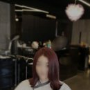 머리하늘날 네이버블로그