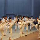 대원태권도 이미지