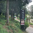 편백숲,쉼 | 이른 여름캠핑 통영편백숲길캠핑장 가족과 가기 좋은 네번째방문 캠핑음식 이야기