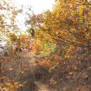 용장1리 이미지