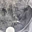 광명방사선과의원 이미지