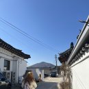 마카다미용실 | 반려견동반 경주여행/ 반려견동반호텔 키녹 / 경주 반려견동반식당