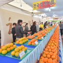 청도군-12 이미지