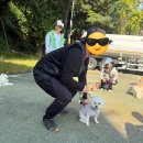 문화교실 | 군포시 반려동물 문화교실 후기🐾