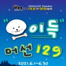 야옹아멍멍해봐 이미지