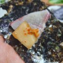 완도회수산