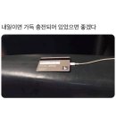 우당탕탕 초여름