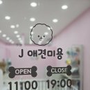 J애견미용 이미지