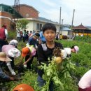 명지초등학교 이미지