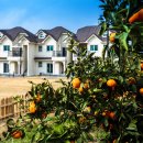 새순펜션 이미지